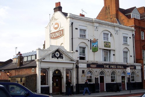 The Pied Bull